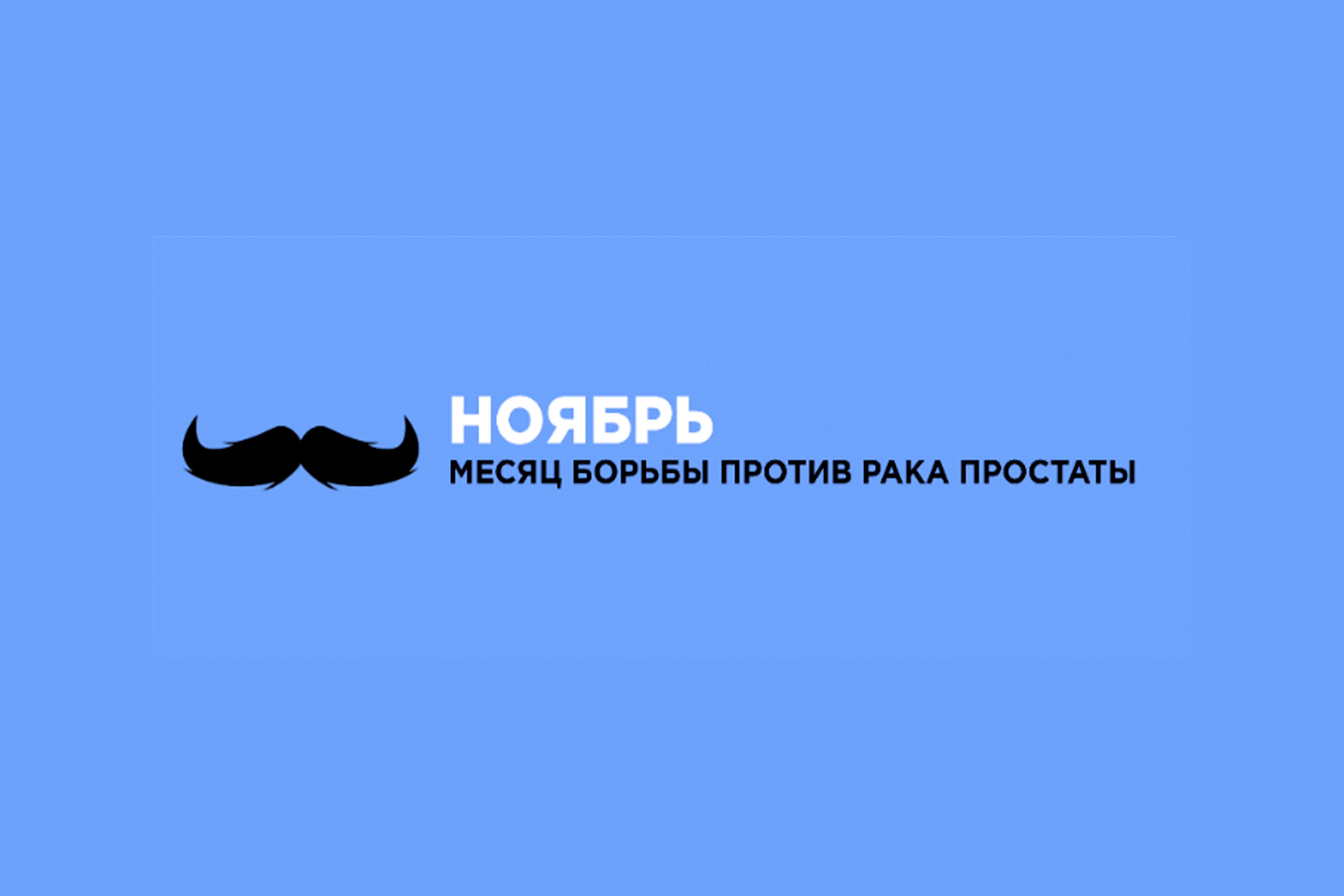 Movember (Усатый ноябрь)