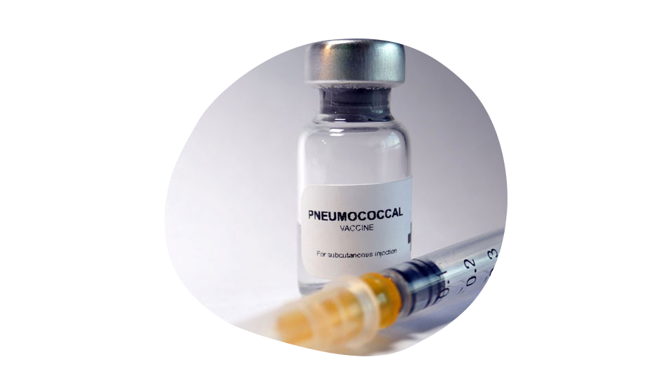 Пневмококковая инфекция.png Пневмококковая инфекция.png