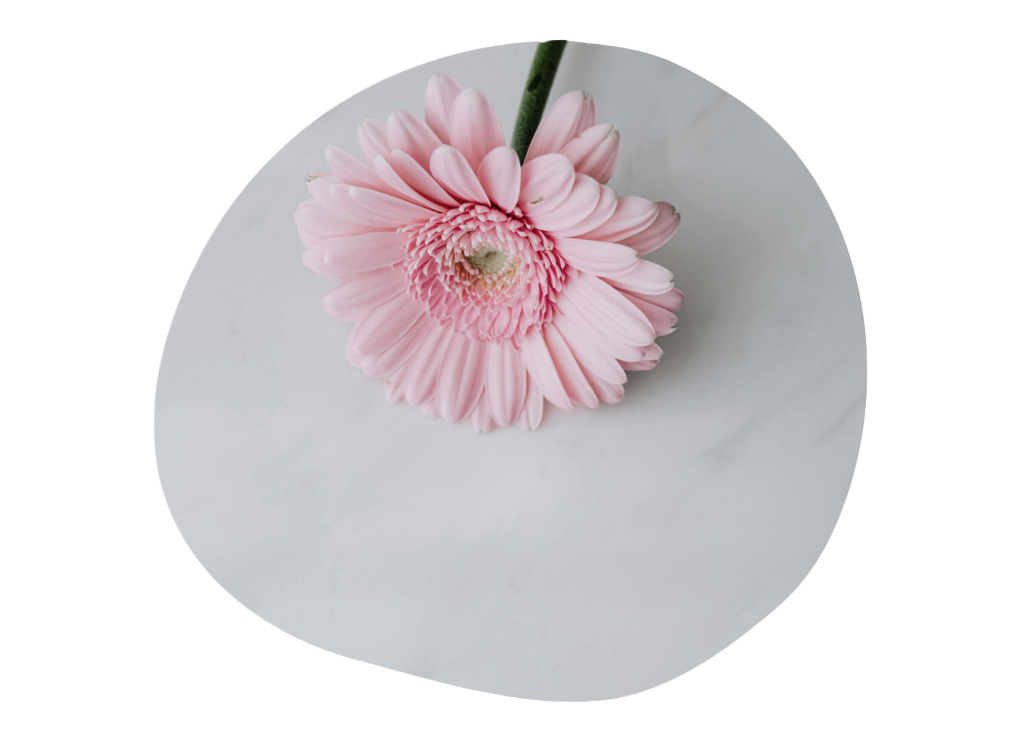 Фонд Не напрасно.png