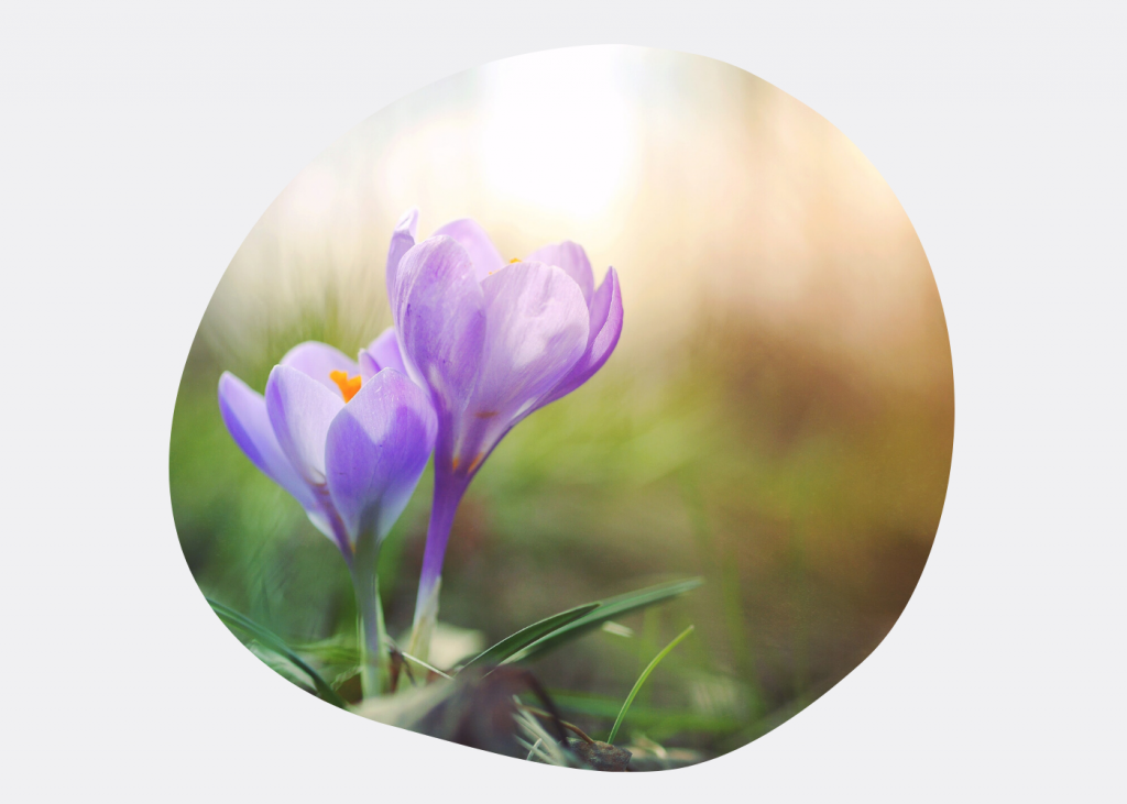 Найти врача