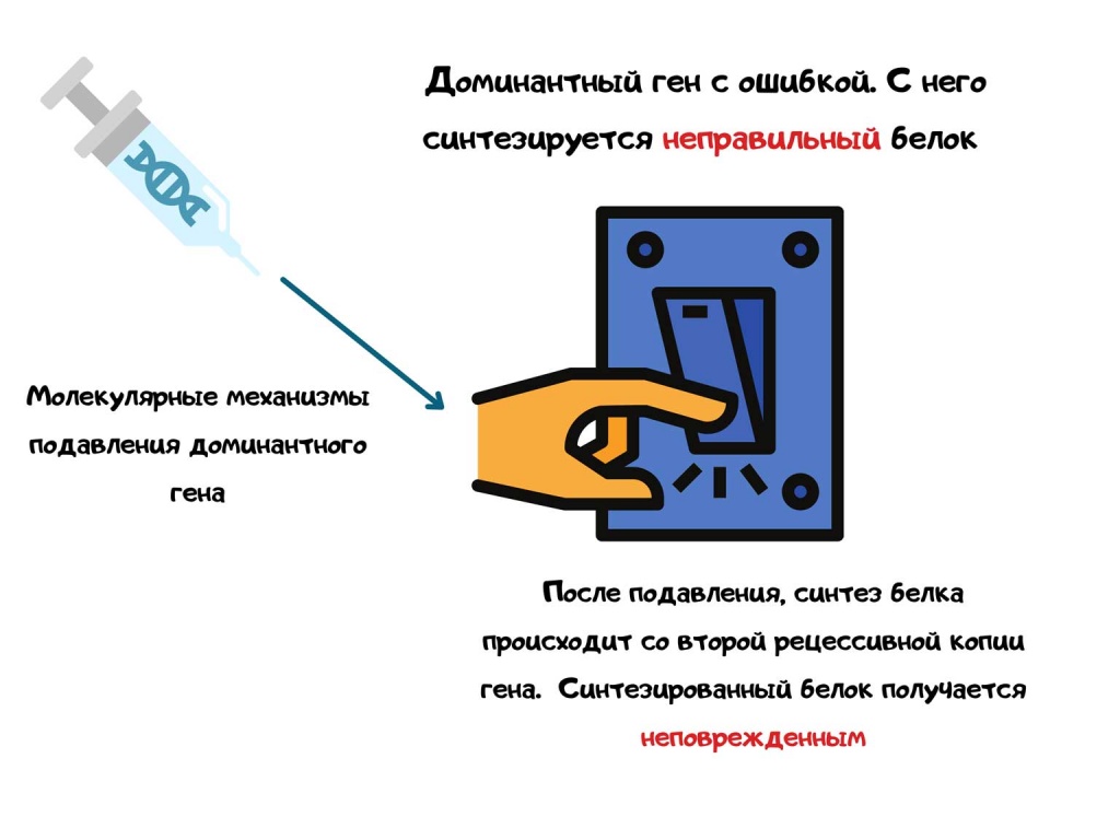 Синдром Элерса-Данло.jpg