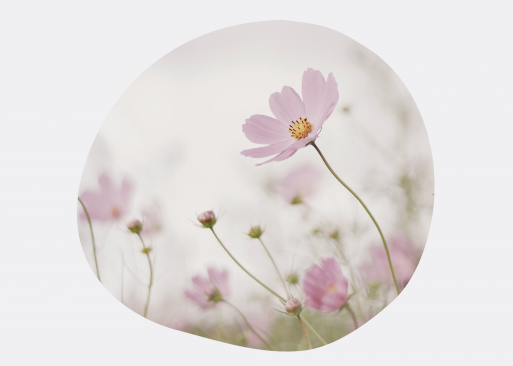 Случайность