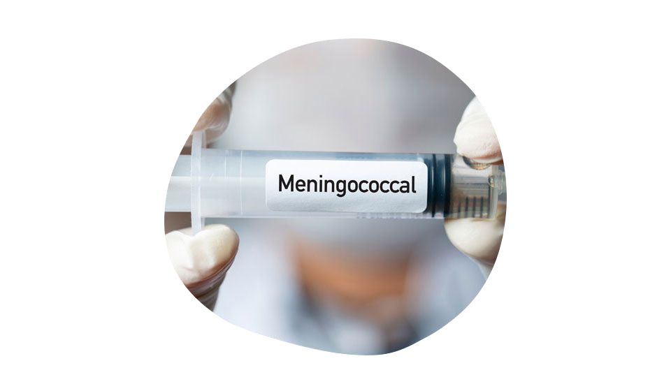Менингококковая инфекция.png Менингококковая инфекция.png