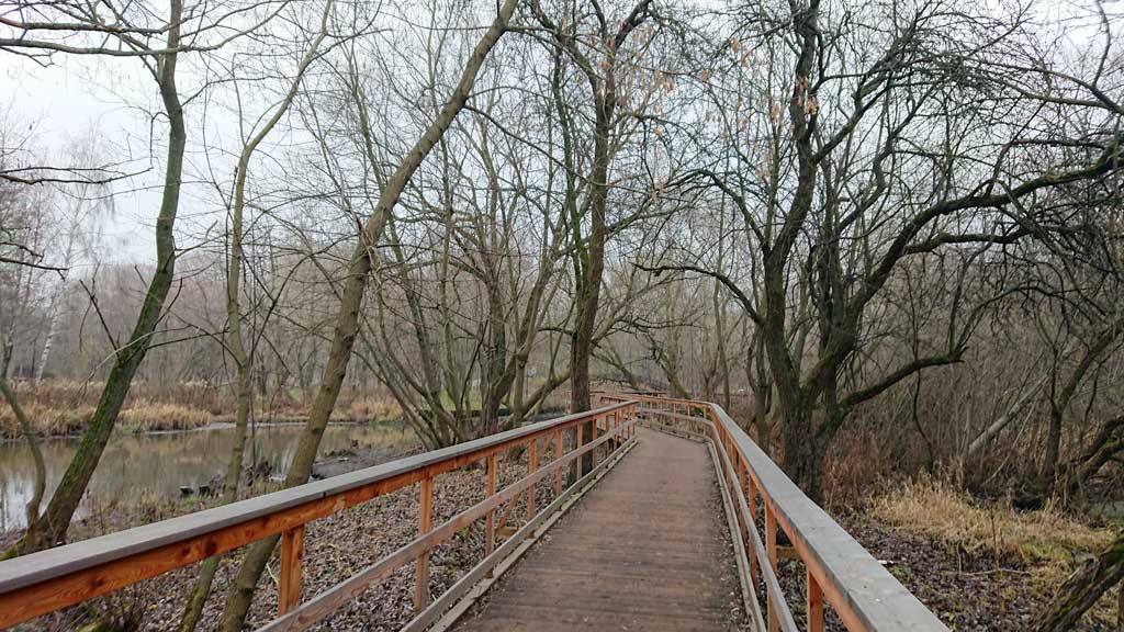 Дневник пациента.jpg