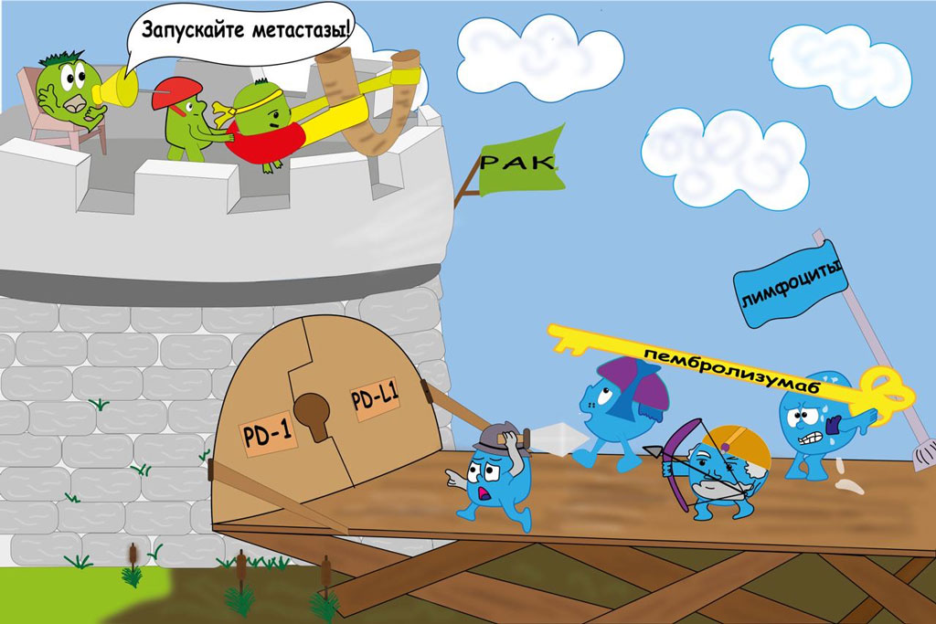 Механизм действия пембролизумаба.jpg