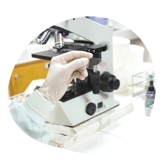 Генетические исследования при раке по ОМС.png Генетические исследования при раке по ОМС.png