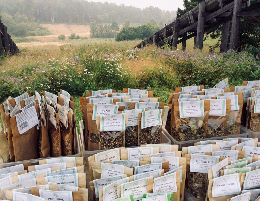 Исследования медицины.jpg