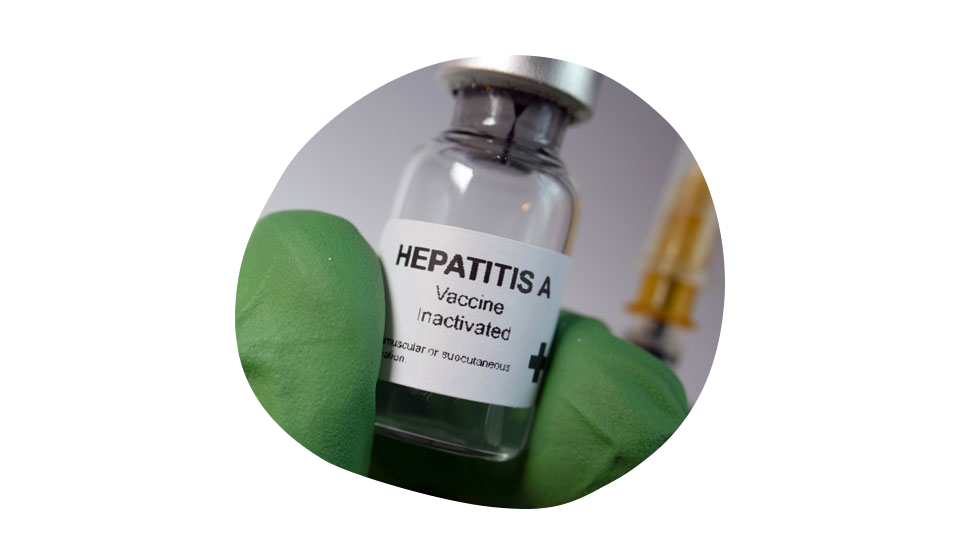 Гепатит А.png Гепатит А.png