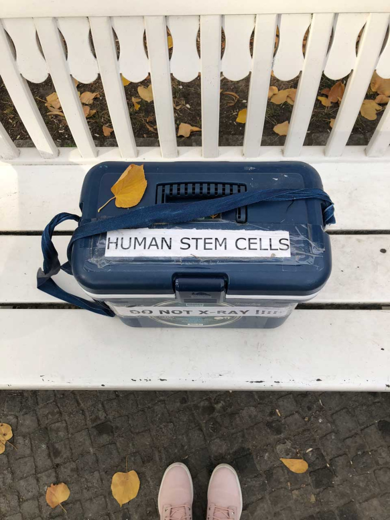 Бокс для перевозки стволовых клеток.jpg Бокс для перевозки стволовых клеток.jpg