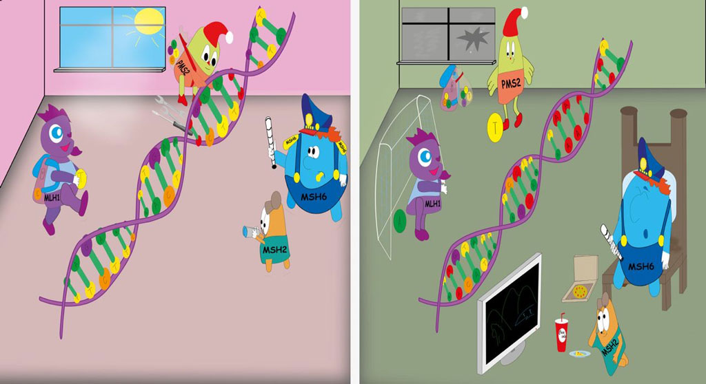 Внутриклеточные процессы, которые выполняются системой MMR при отсутствии мутаций (слева); при синдроме Линча (справа).jpg