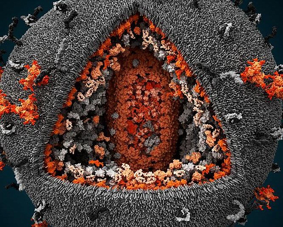 Онкологические заболевания при ВИЧ-инфекции