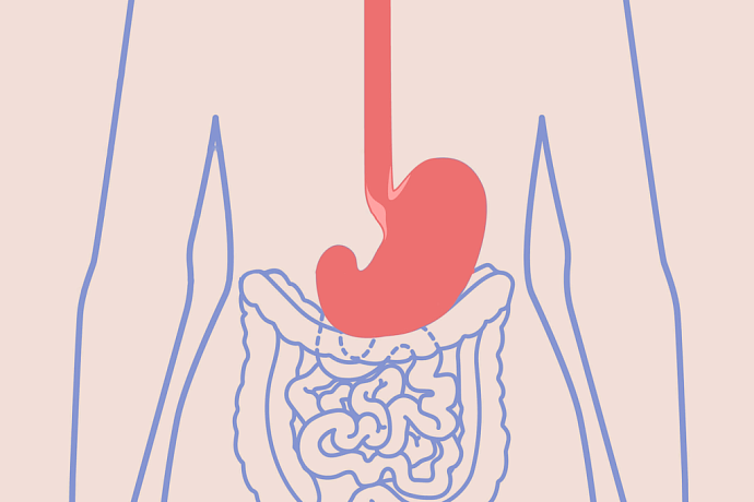 Как влияет питание, гастрит и бактерия Helicobacter Pylori: 7 вопросов о раке желудка