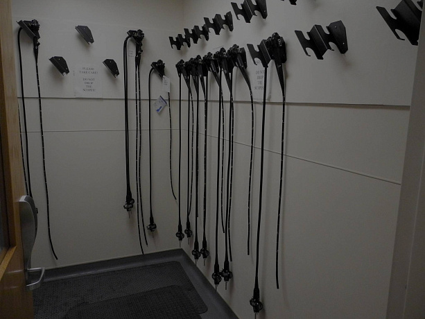 Мода на гастрит