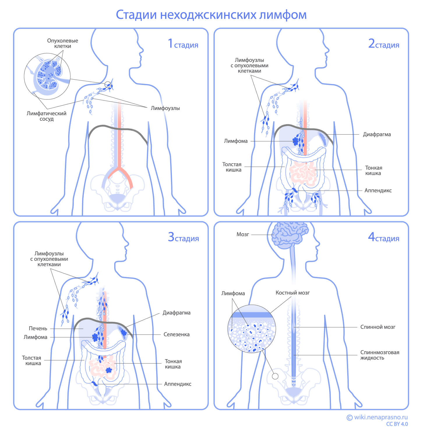 Сталии НХЛ.jpg