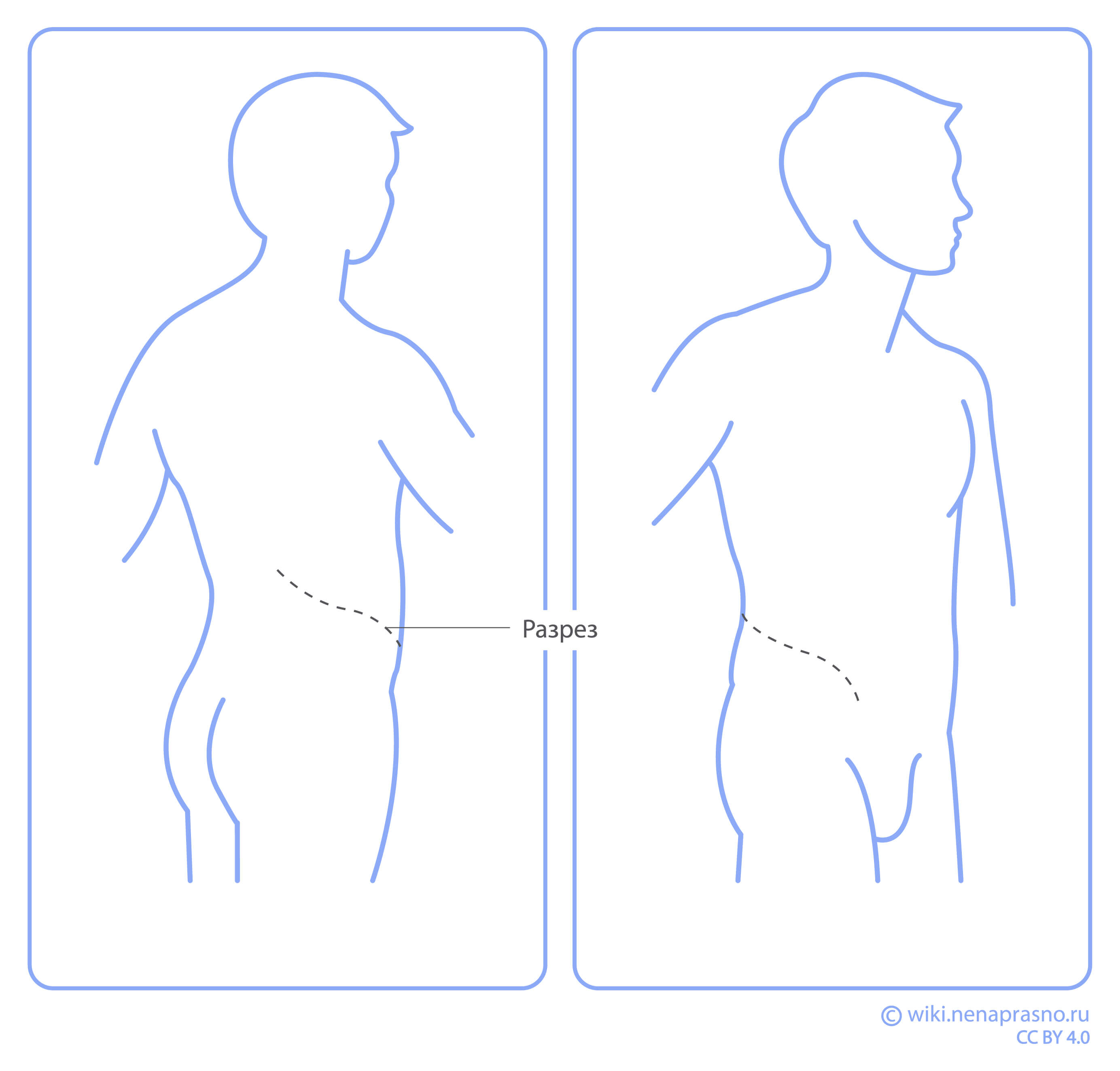 Разрез.jpg Разрез.jpg